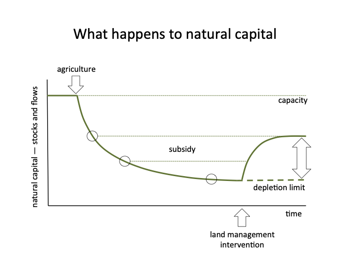 Infographic showing. the decline in natural capital once land is cleared for agricutlure 
