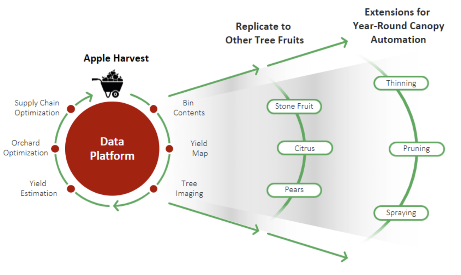 apple harvesting automation model