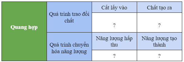 Câu hỏi trang 109 SGK TN&XH 7 CTST tập 1