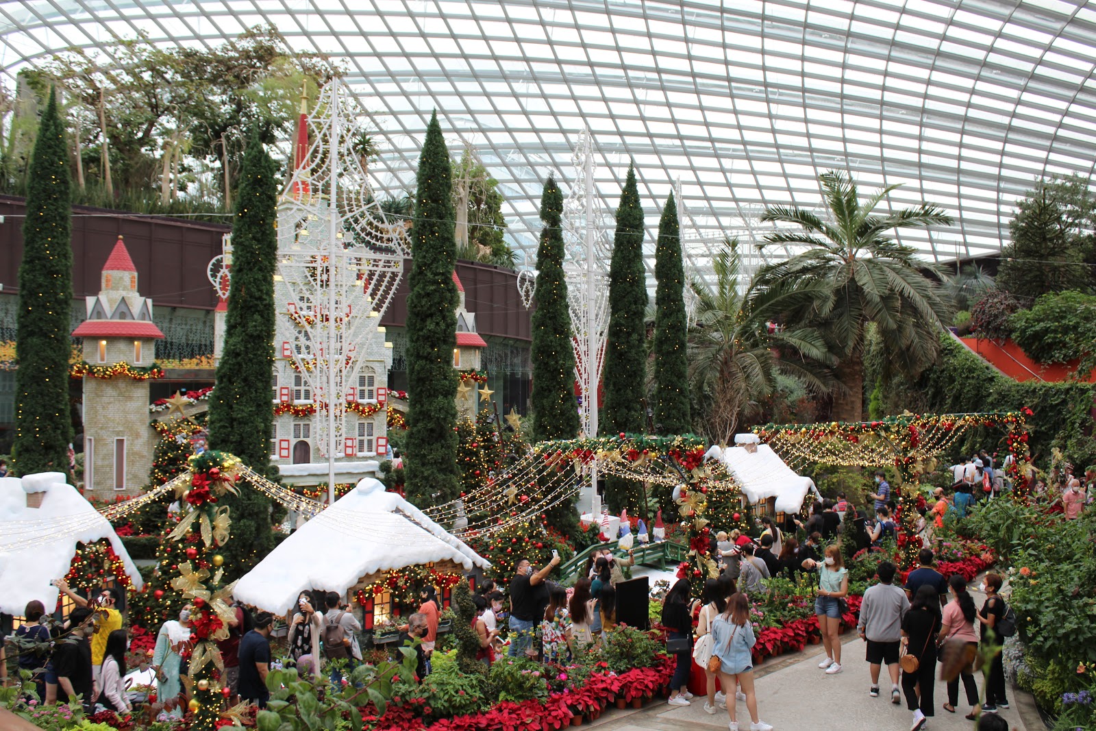Flower Dome Christmas set-up