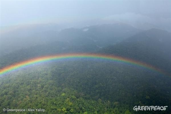 Congo Basin