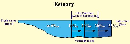 Figure 14 (Large)