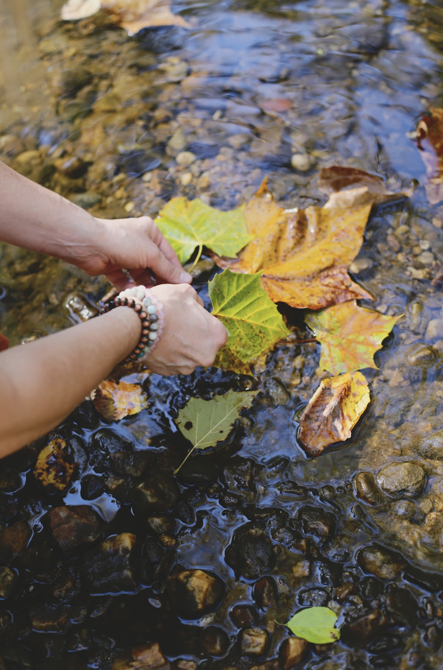 Buddhist practitioner picking up leaves from a stream in the forest
