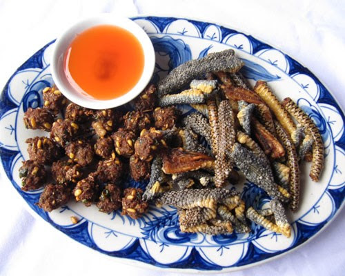 Rắn Chặt Khúc Chiên.png