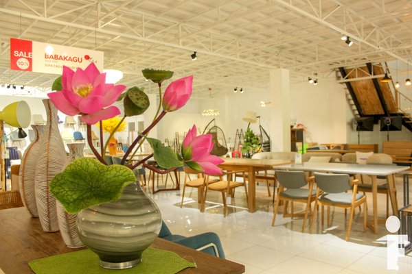 hoa vải tại furnist