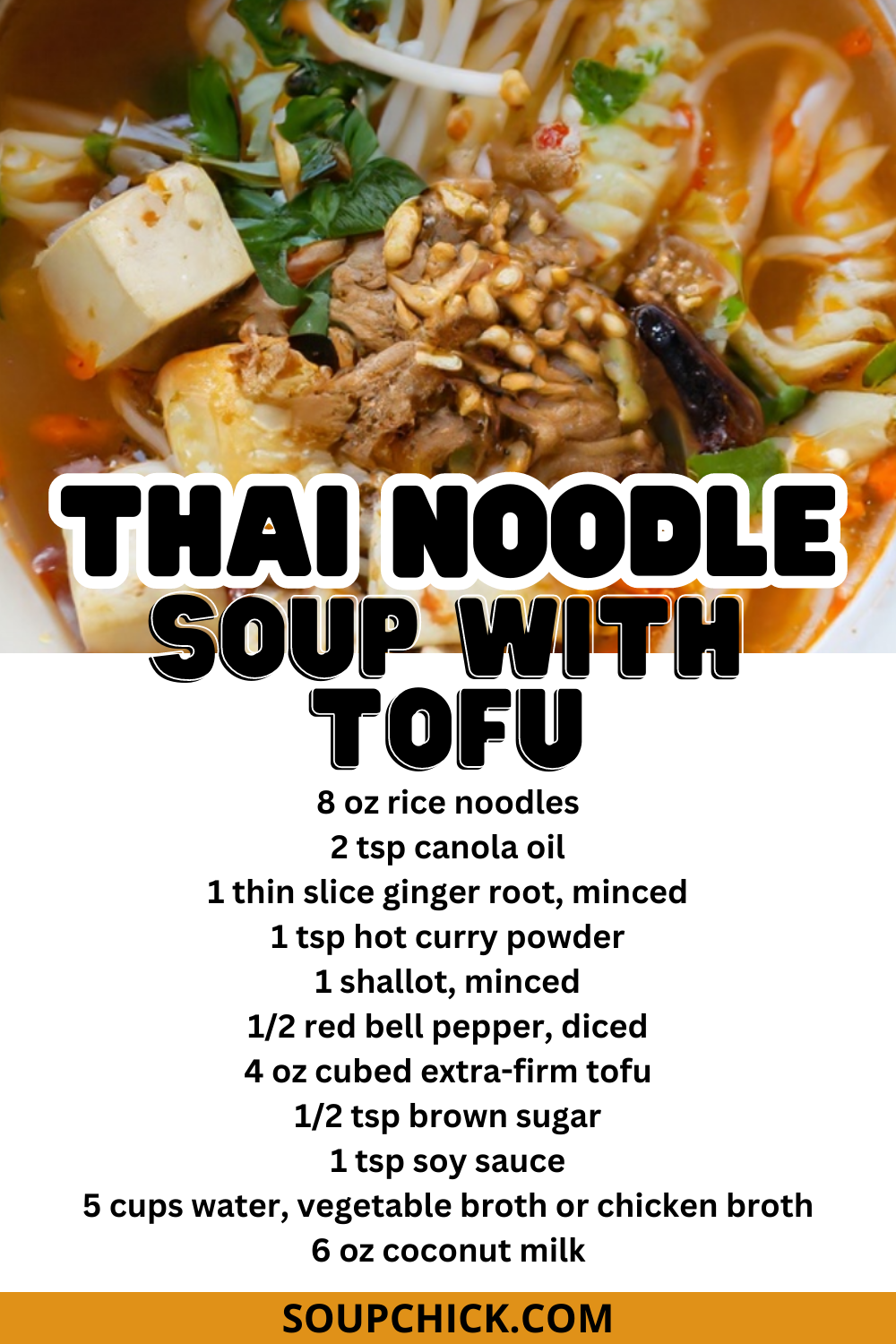 Thai Noodle Soup