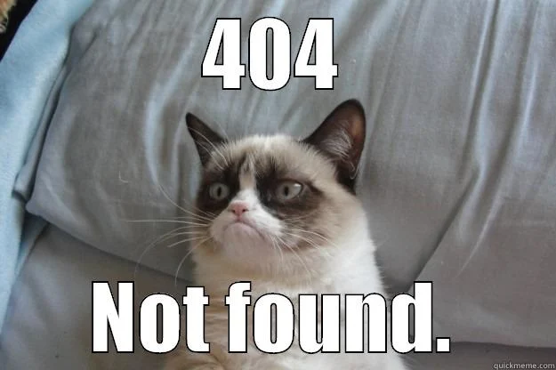 404 not found meme