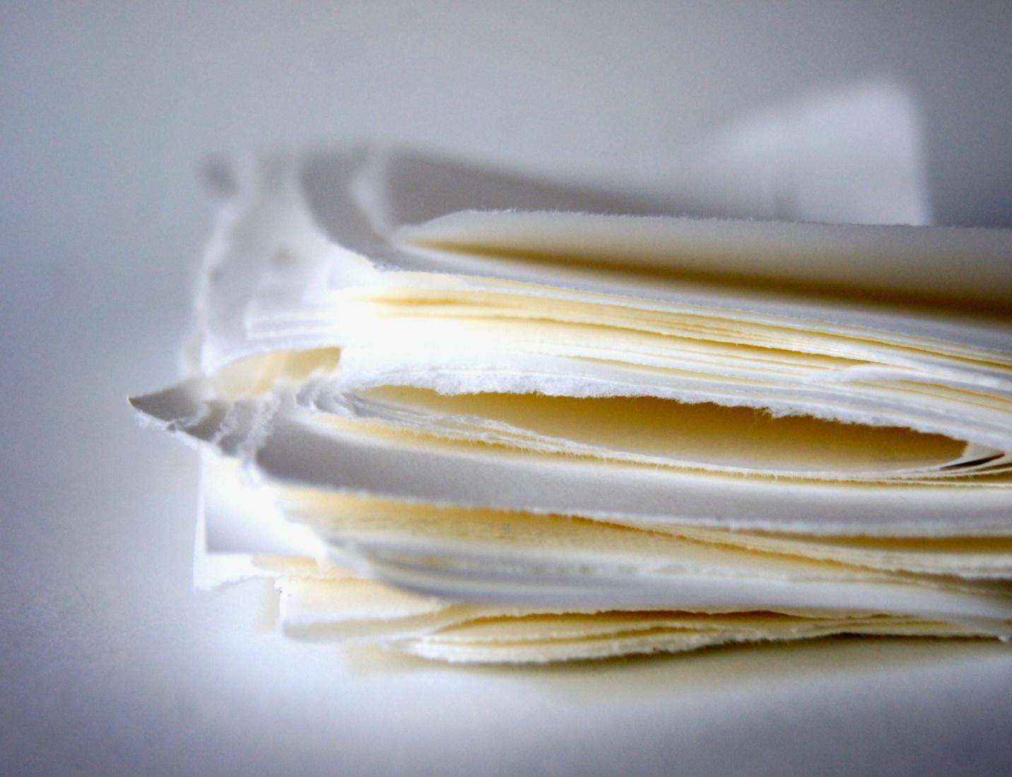 , Everything You Need to Know About Eco-Friendly Paper