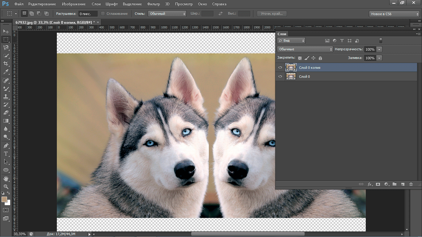 Adobe Photoshop