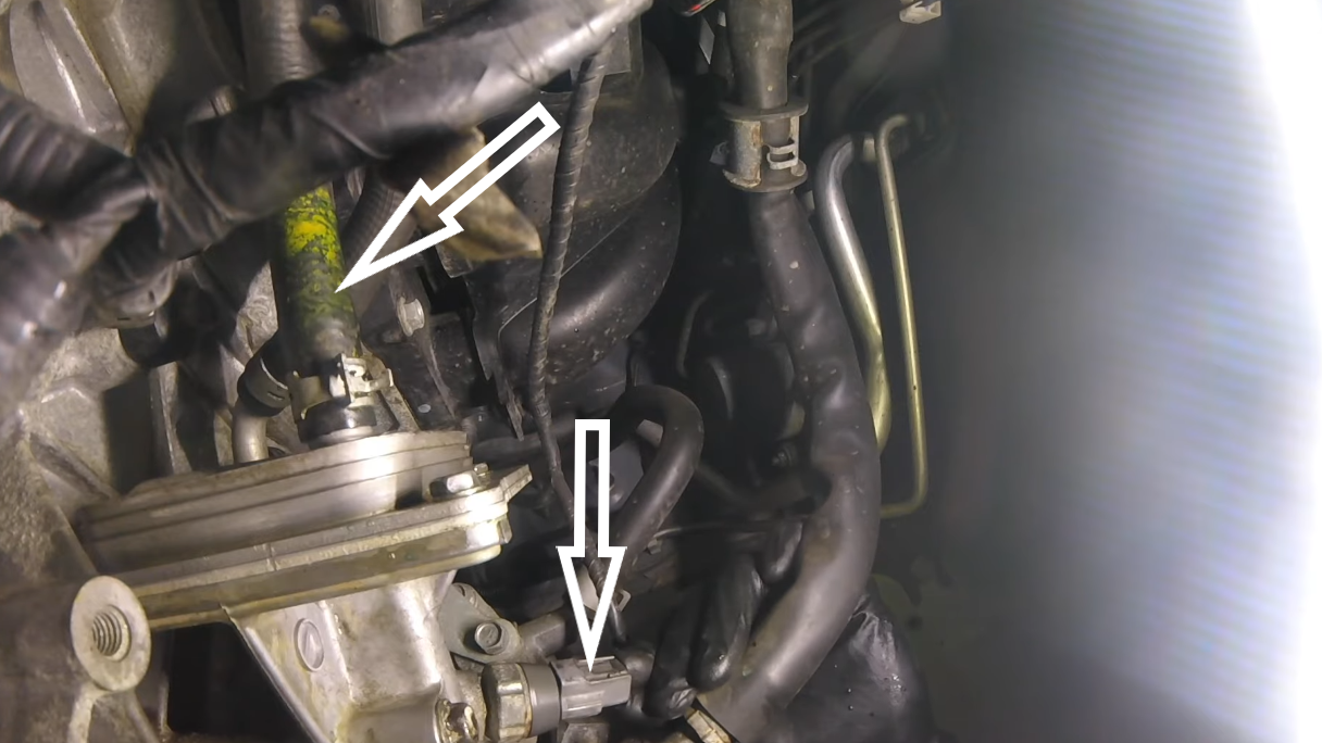 reconnect and clamp hoses to the water cooler