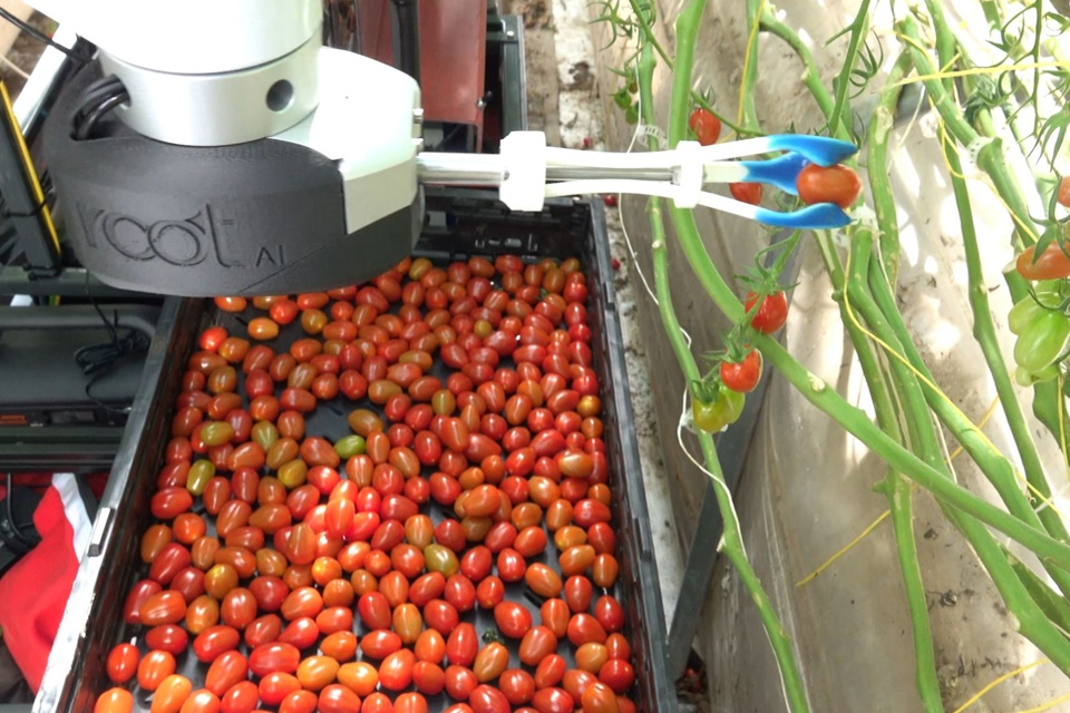 Tecnologias de Colheita de tomate 
Fonte: Tecmundo