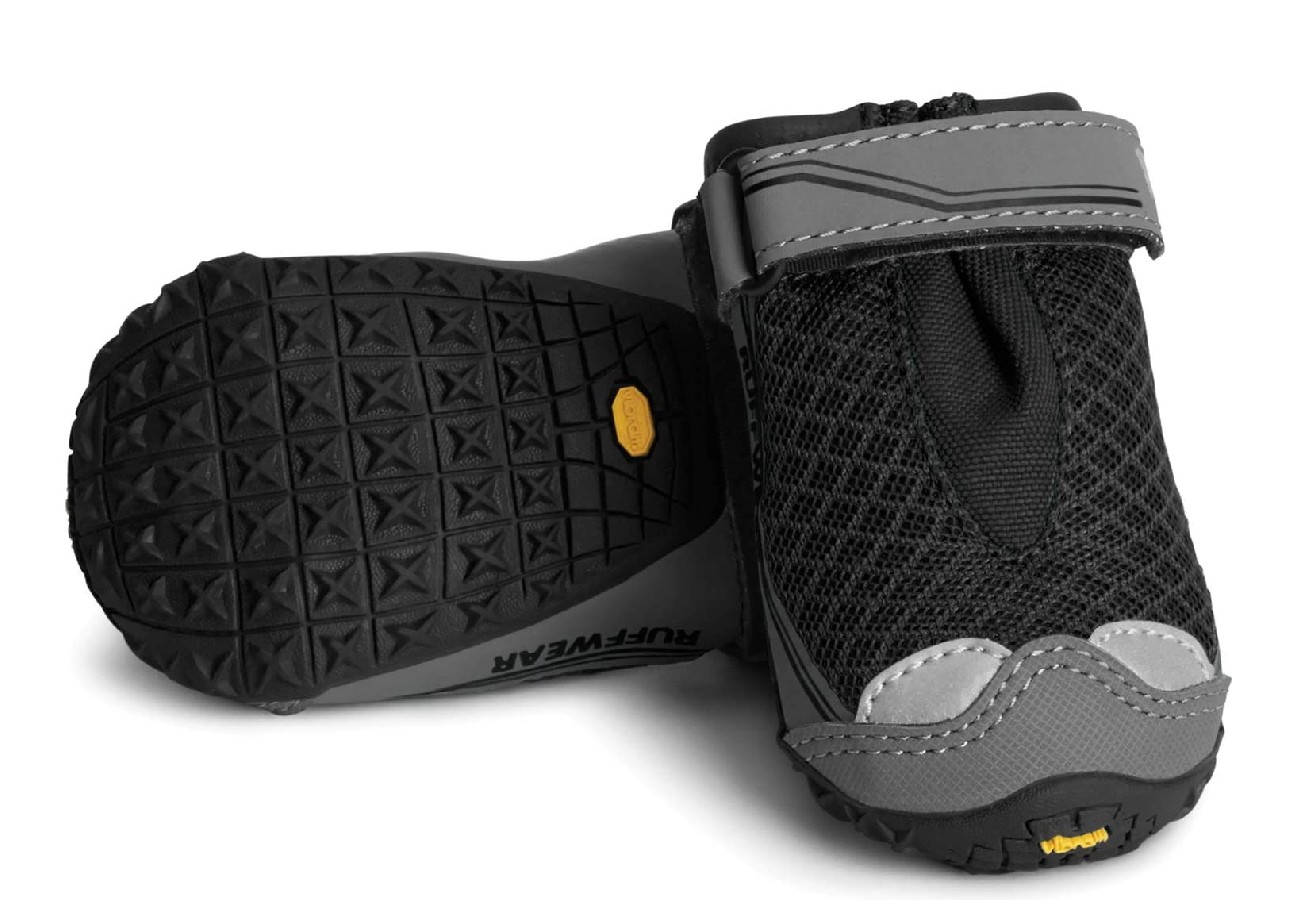 The Best Dog Running Gear Of 2023 2