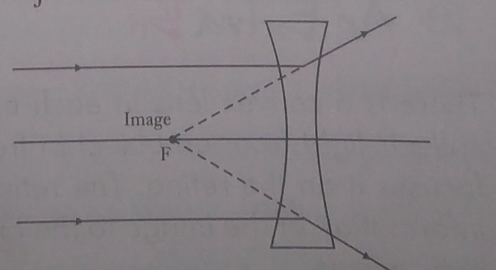 Question Image