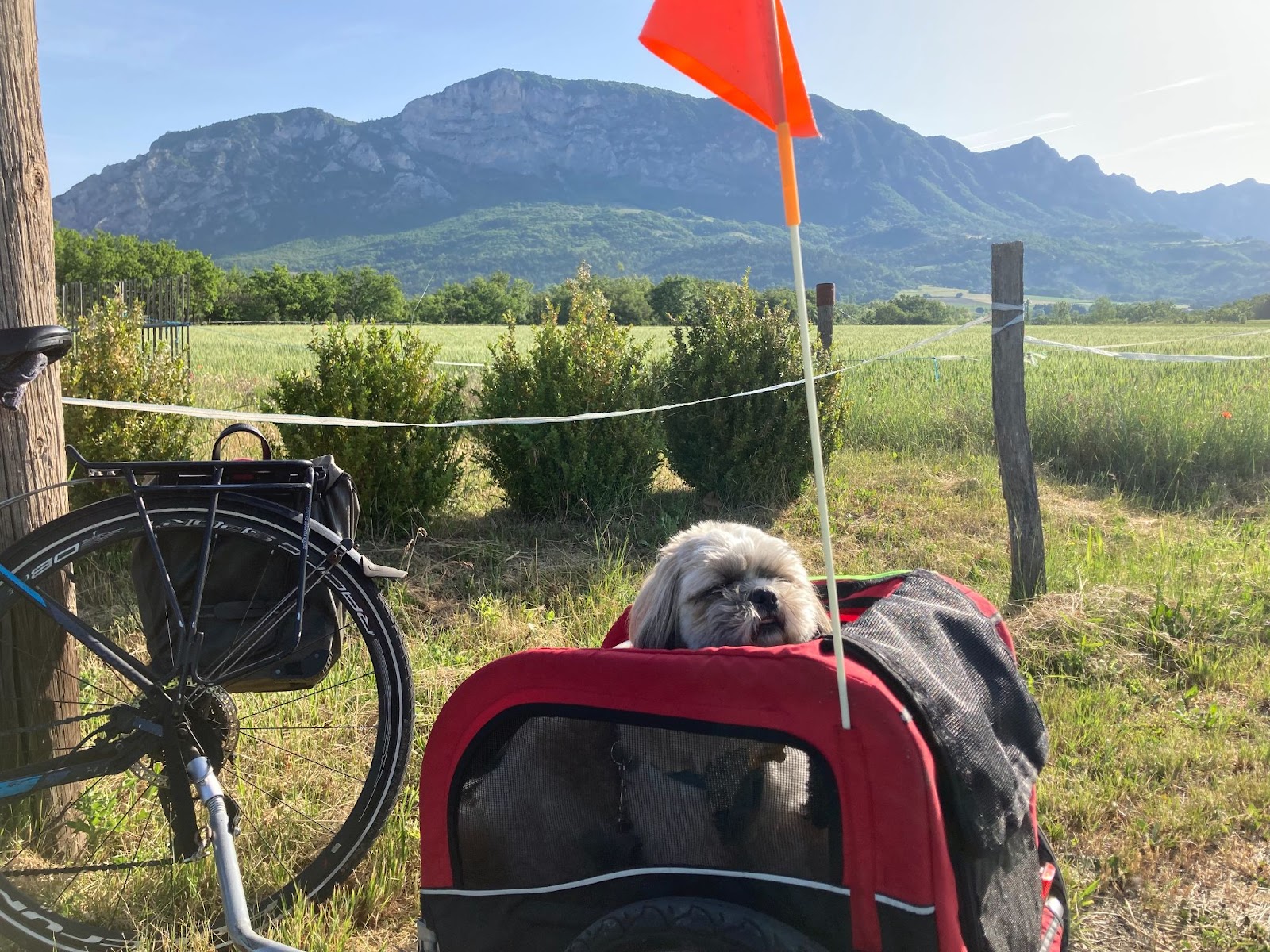 Photo showing a small white dog in a red chariot hooked up to a bike in front of a beautiful mountain landscape. The dog is scrunching up its face in the sun, giving it a goofy expression.