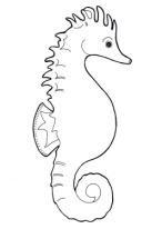 Resultado de imagen para CABALLITO DE MAR dibujo para colorear