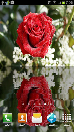 Download Water Rose Live Wallpaper apk