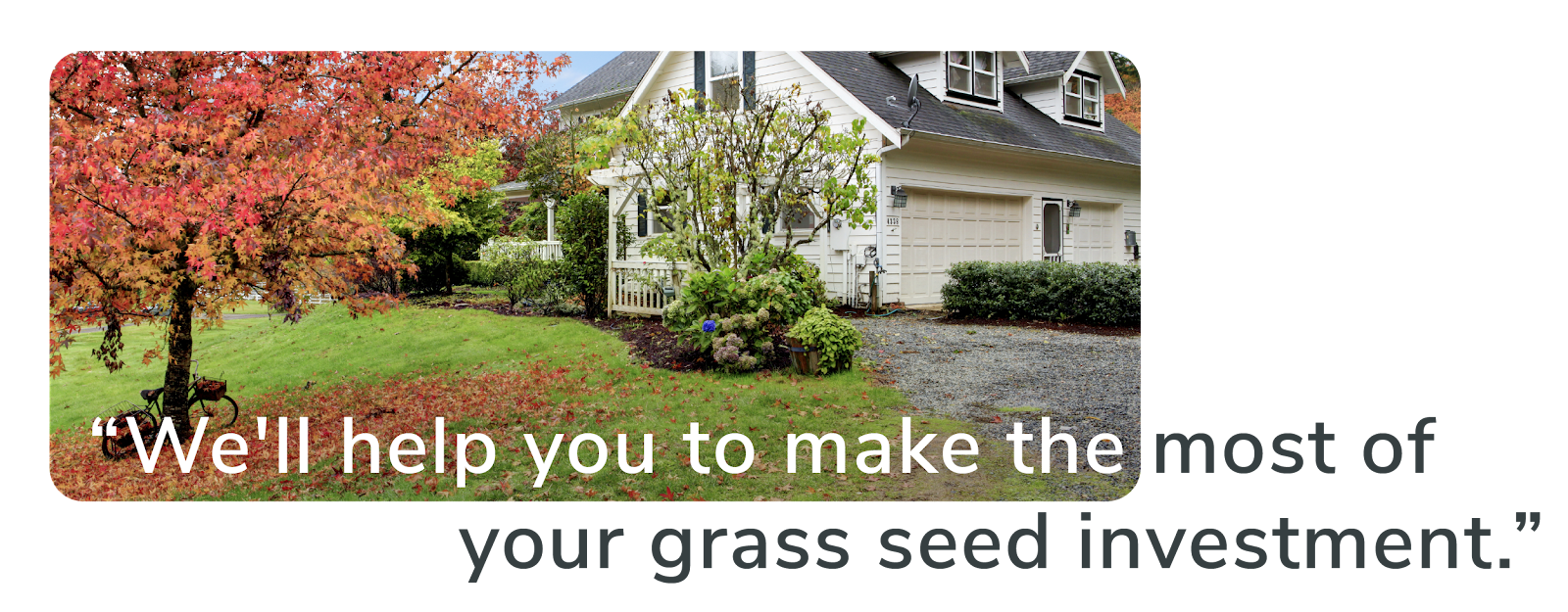 fall leaves fallen on a green lawn with the words we'll help you to make the most of your grass seed investment
