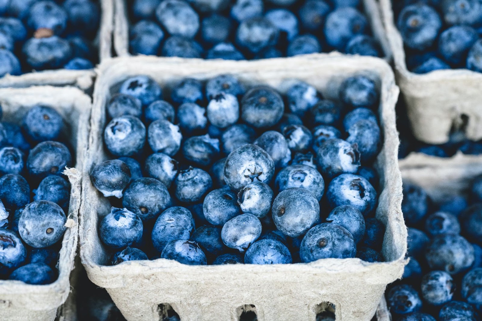 Keep Blueberries Fresh Longer