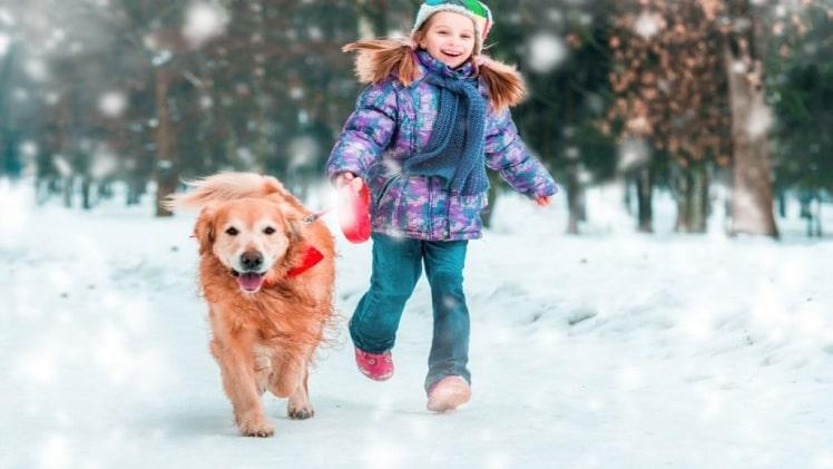 6-Ways-to-Keep-Pets-Safe-at-Home-This-Winter-1.jpg