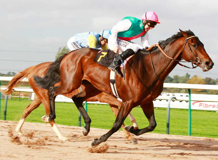 Learn Horse Racing Betting Odds