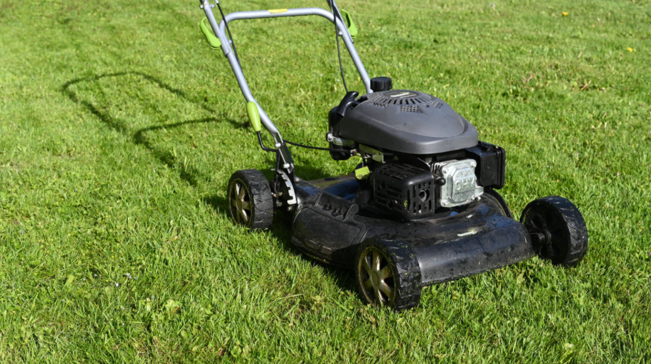 black lawn mower on sir walter palmetto lawn
