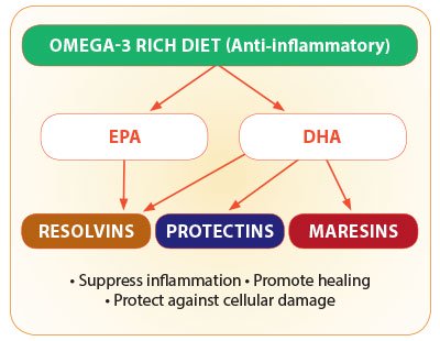 Omega-3 Rich Diet