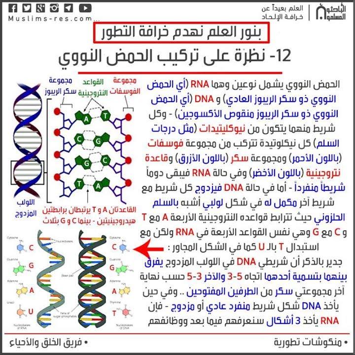 D:\قولدر البرامج 1\ama\ptjtmp\15.jpg