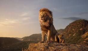 Image result for lion