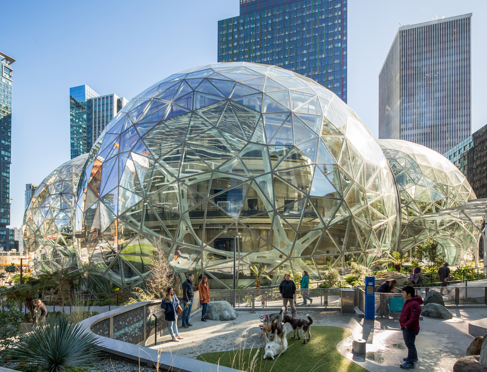 The Amazon Spheres in Seattle, USA:
