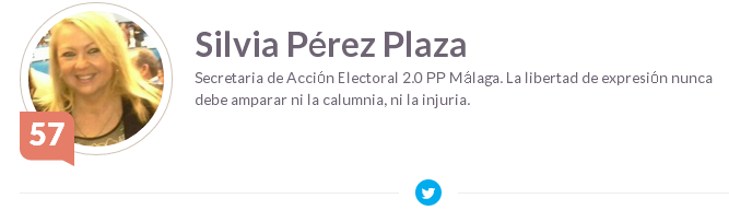 Silvia Pérez Plaza   Klout.com.png