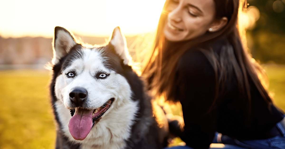 husky dog with lady owner