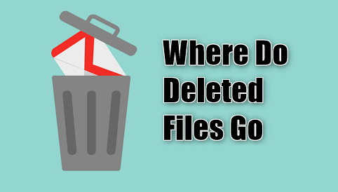 Where do files go