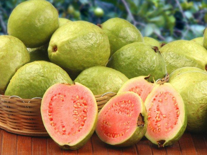 Image result for guava