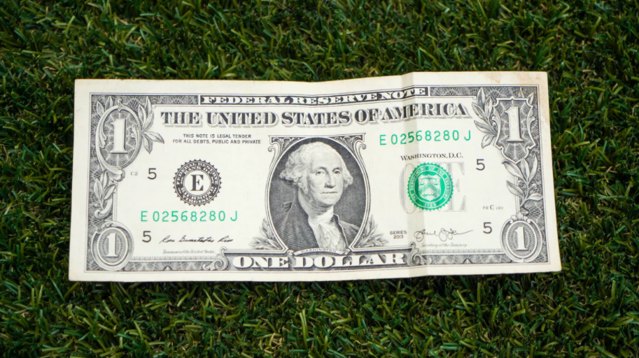 US dollar bill on grass