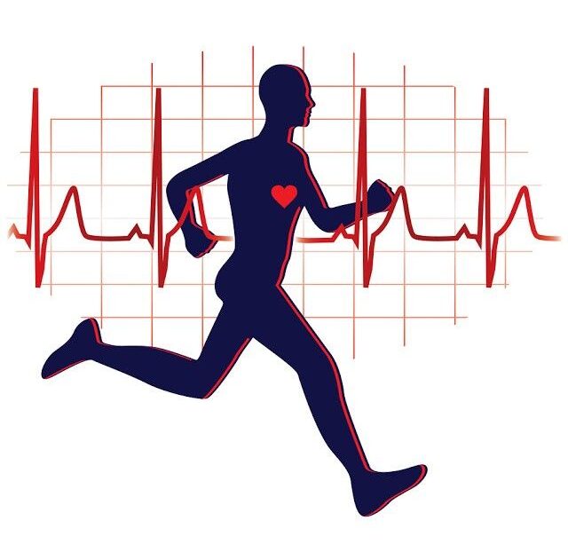 Cardio Adventures For Health