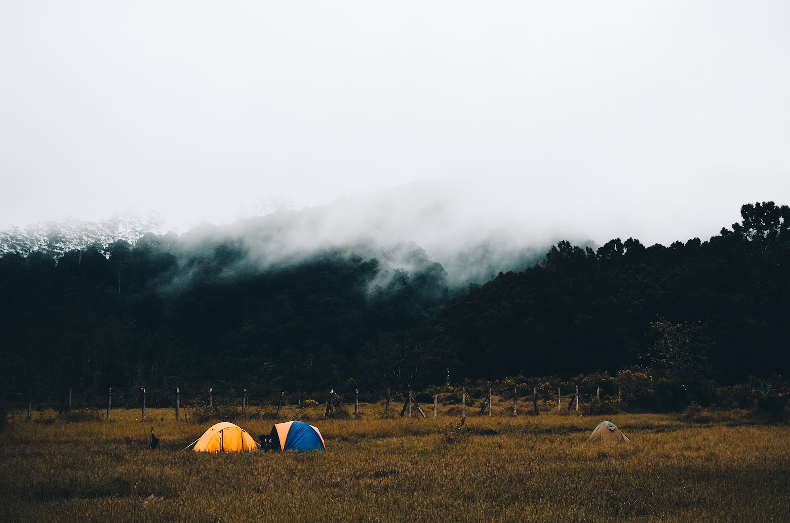 kemah di smart camp adventure kawah putih