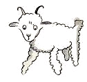 A ram