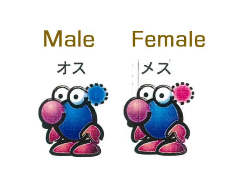 Pikmin Nintendo early art