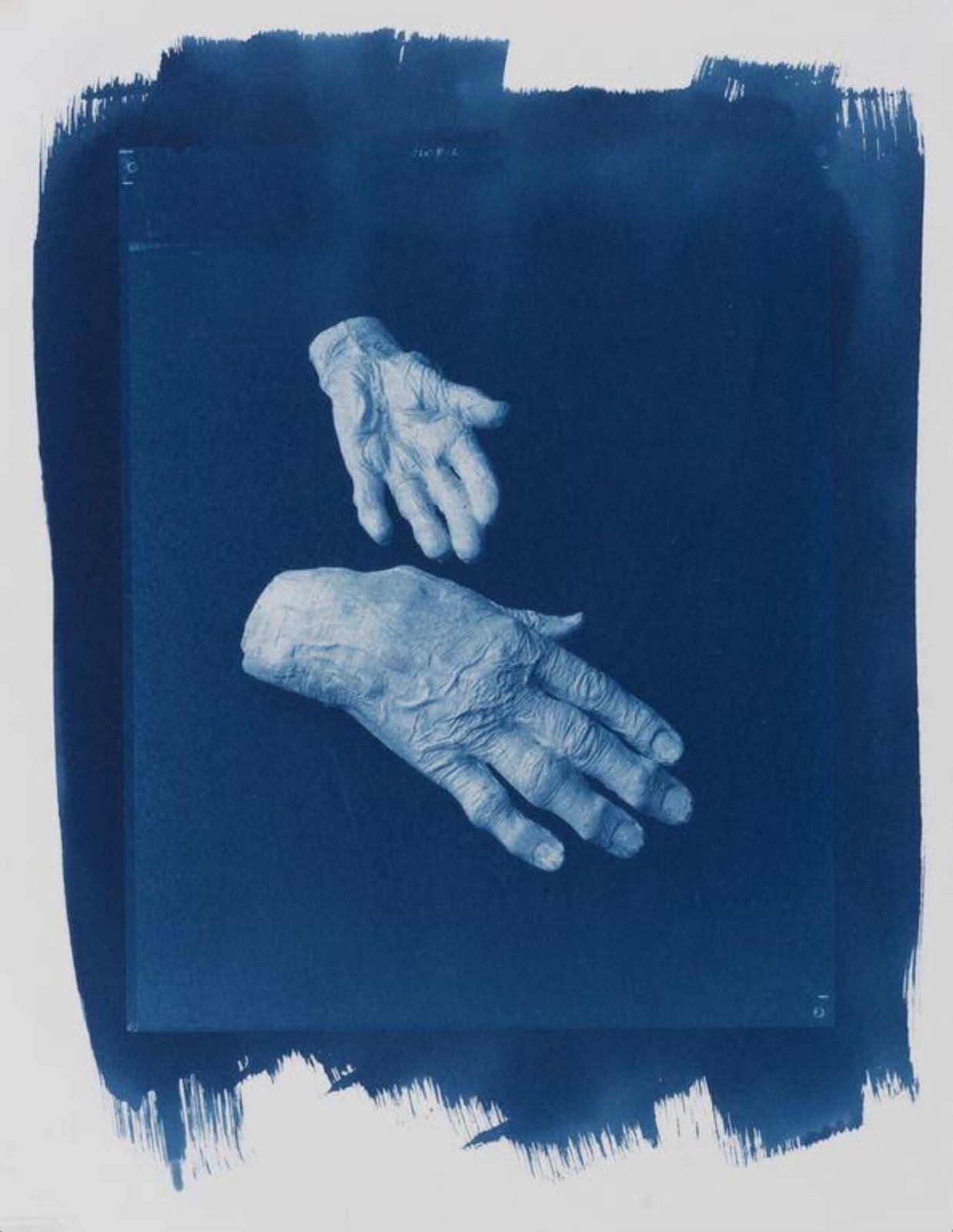 linda mccartney cyanotype photograph healing hands