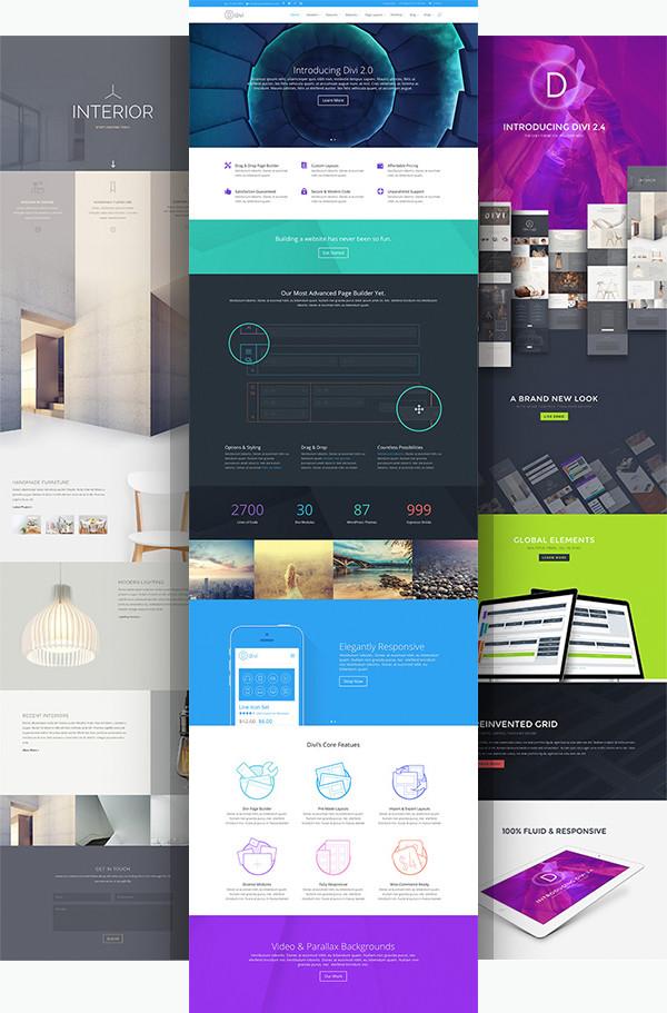 Image result for divi theme