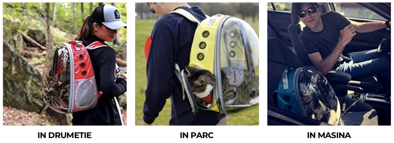 rucsac-transport-pisici