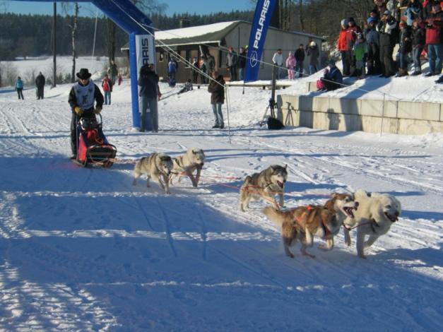 Ein Bild, das Schnee, draußen, Hund, Transport enthält.

Automatisch generierte Beschreibung