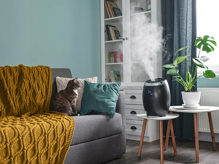 What is a Humidifier?