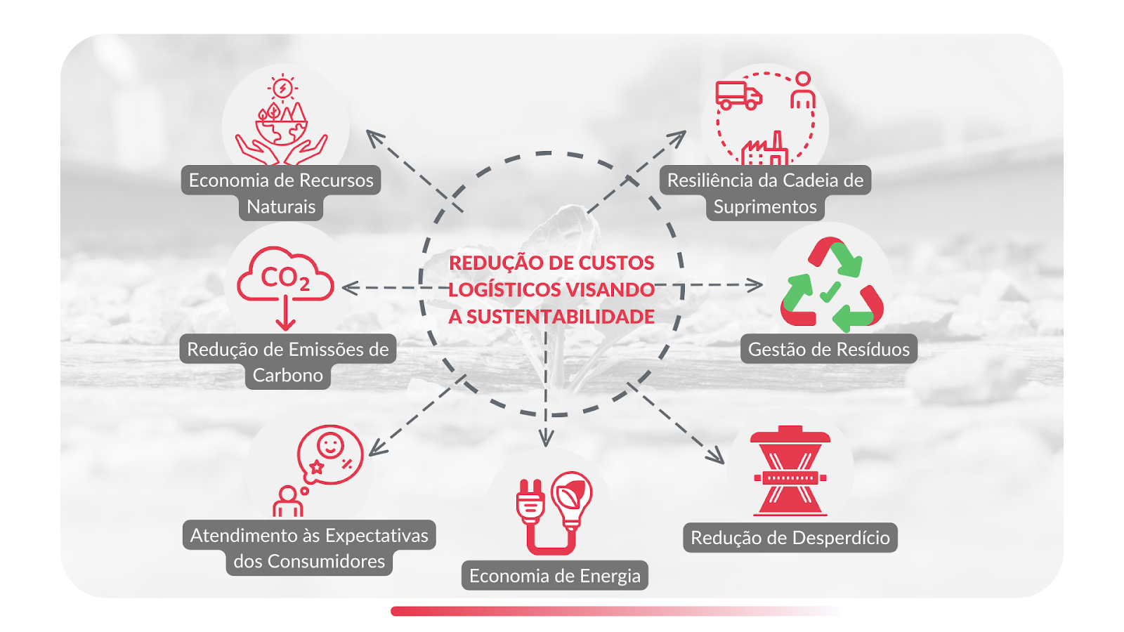 Redução de custos logísticos visando a sustentabilidade