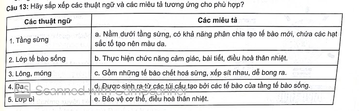 Hình ảnh không có chú thích