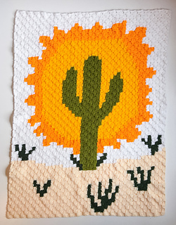 colorful catcus c2c throw on white background