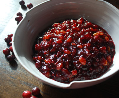 cranberry pomegranate salsa