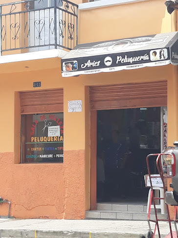 Opiniones de Aries Peluquería en Quito - Peluquería