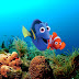 Lessons from Dory