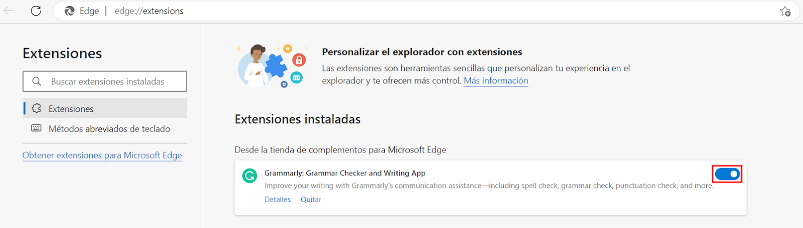 Ventana de Extensiones instaladas de Microsoft Edge